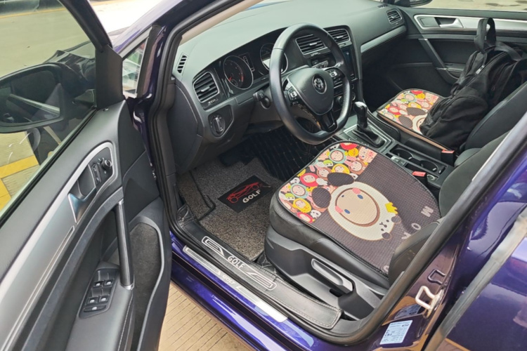 Volkswagen Golf 2019 car image #16