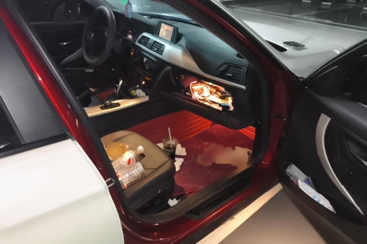 BMW 3 Series 2015 car image #25