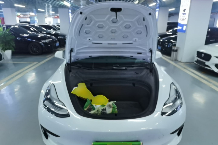 Tesla Model 3 2020 car image #20