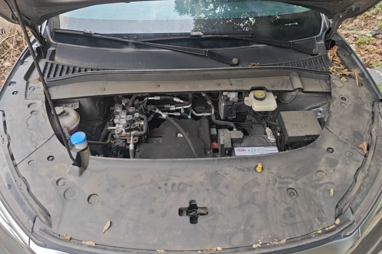 BYD Yuan Plus 2023 car image #20