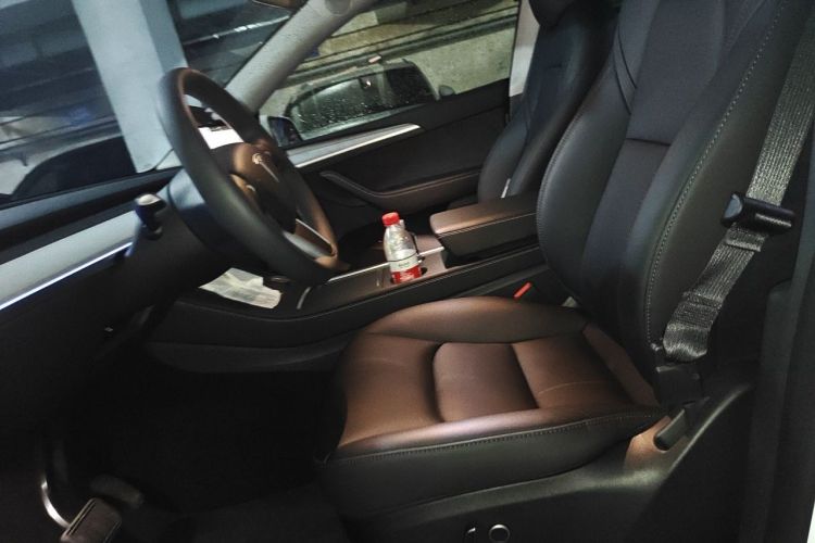 Tesla Model Y 2023 #15 Tesla Model Y 2023 car image #15