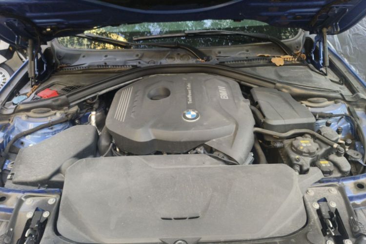 BMW 3 Series 2016 car image #21