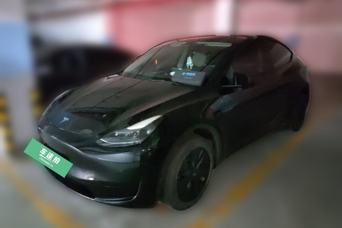 Tesla Model Y 2023 Tesla Model Y 2023 car image