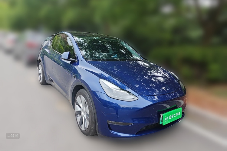 Tesla Model Y 2021 car image #4