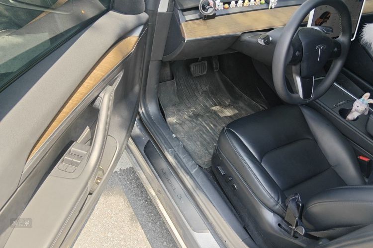 Tesla Model 3 2021 car image #18