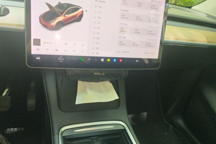 Tesla Model Y 2021 car image #15