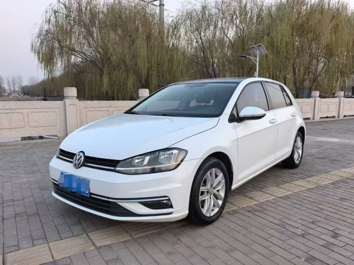 Volkswagen Golf 2019 Volkswagen Golf 2019 car image