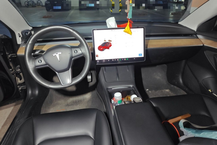 Tesla Model 3 2022 car image #7