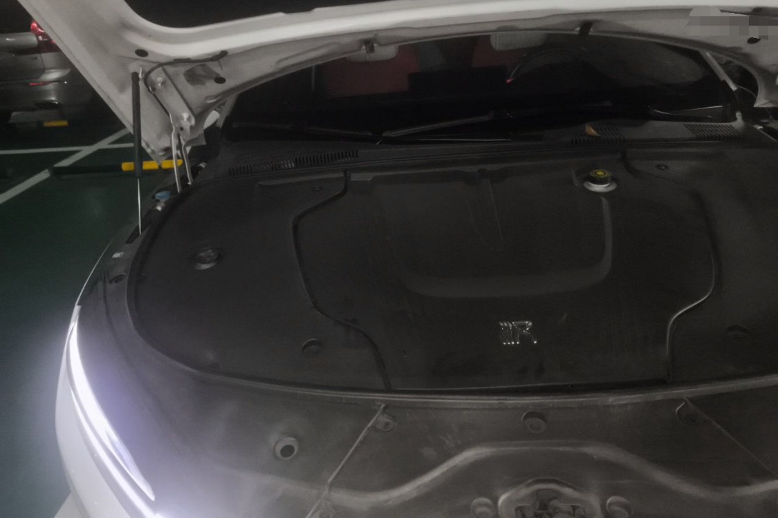 BYD Han 2021 #11 BYD Han 2021 imagen de coche #11