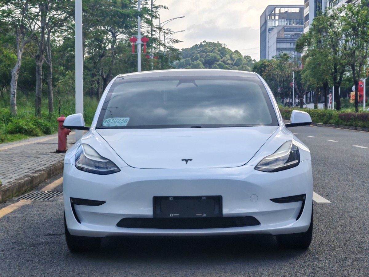 Tesla Model 3 2020 #2 Tesla Model 3 2020 car image #2