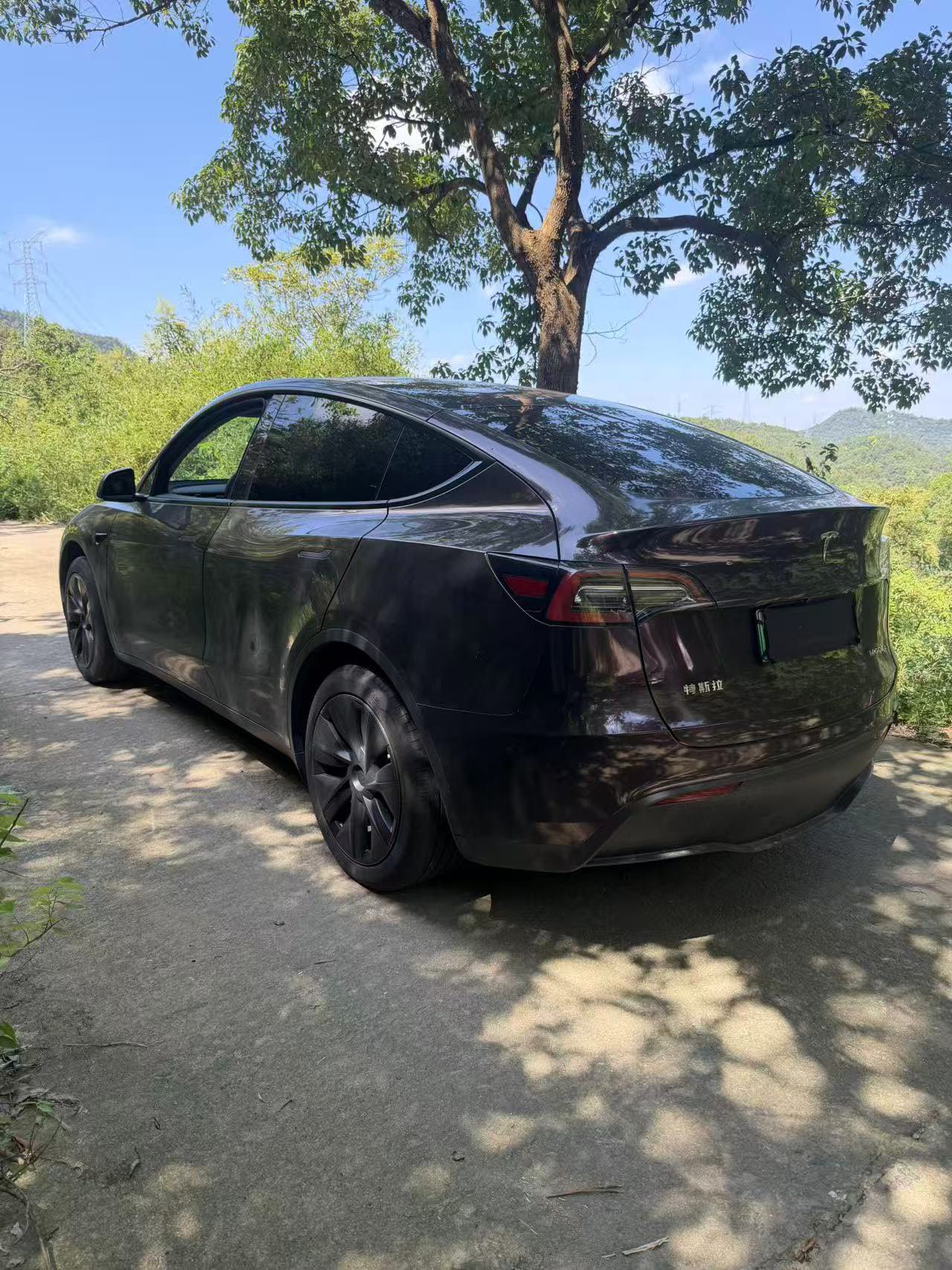 Tesla Model Y 2025 car image #8