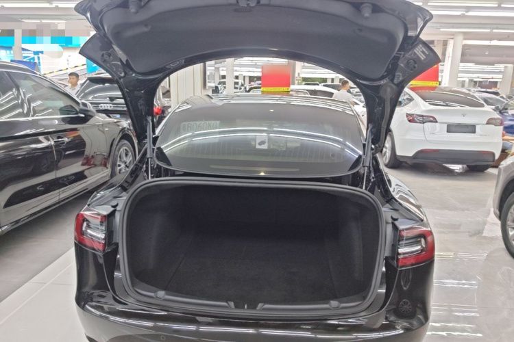 Tesla Model 3 2020 #21 Tesla Model 3 2020 car image #21
