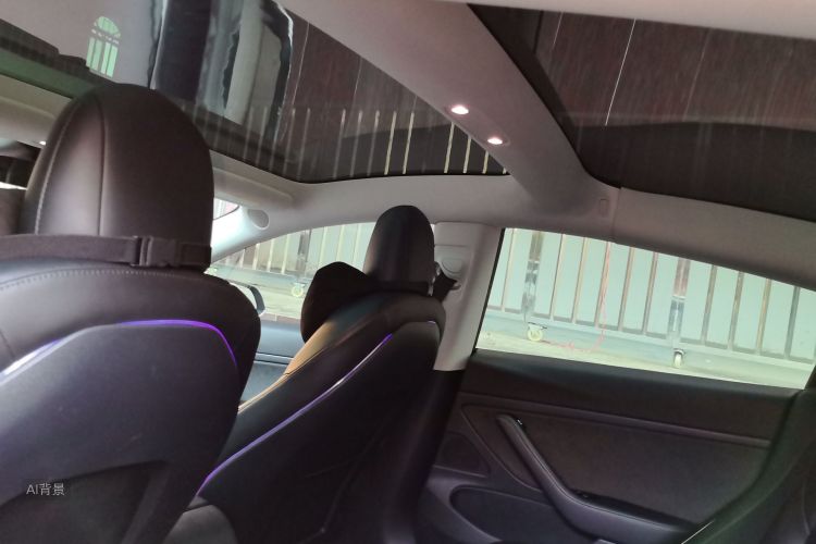 Tesla Model 3 2020 imagem de carro #20