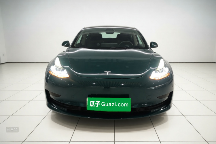 Tesla Model 3 2021 #3 Tesla Model 3 2021 car image #3