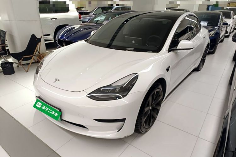 Tesla Model 3 2021 #2 Tesla Model 3 2021 car image #2