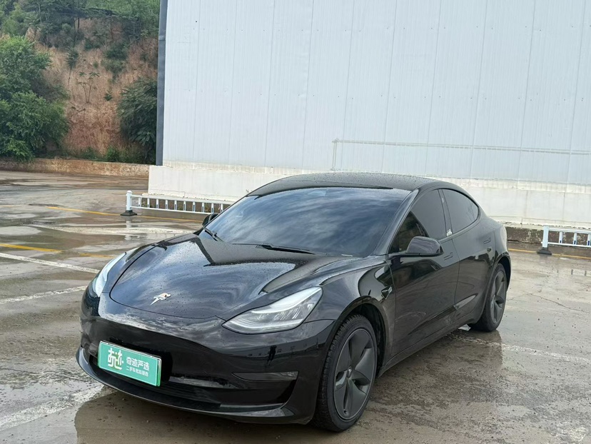 Tesla Model 3 2020 car image 