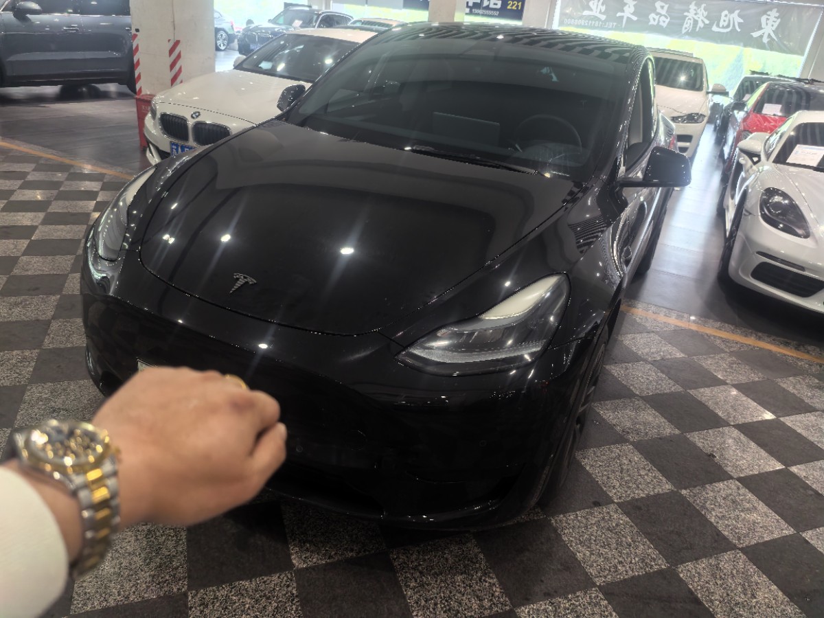 Tesla Model Y 2023 Tesla Model Y 2023 car image