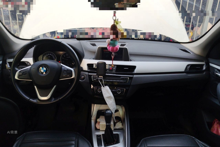 BMW X1 2018 car image #11