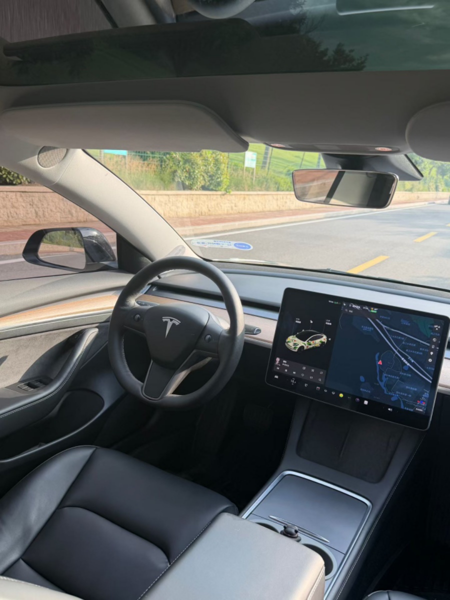 Tesla Model 3 2021 immagine di auto #5