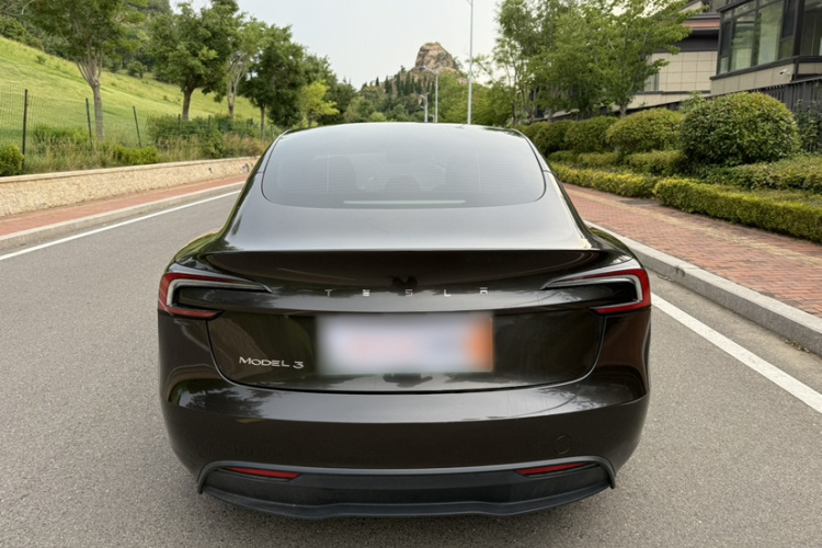 Tesla Model 3 2023 immagine di auto #10