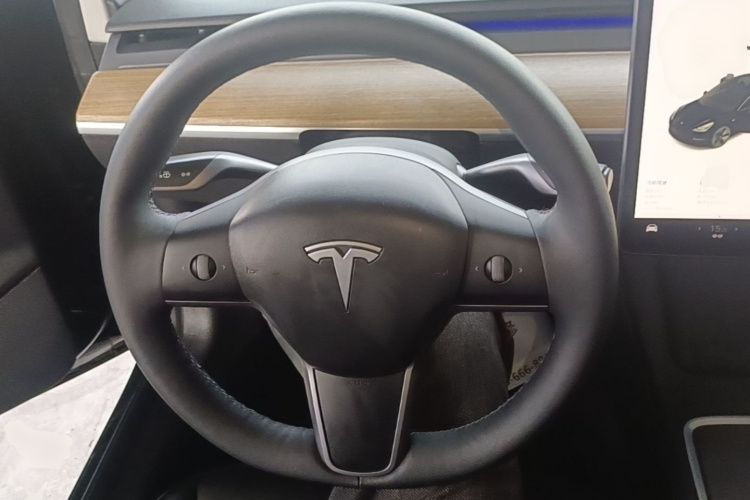 Tesla Model 3 2021 car image #15