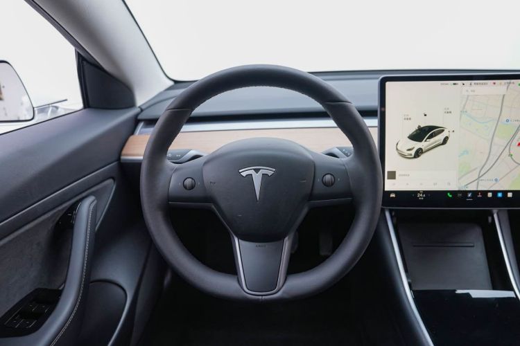 Tesla Model 3 2020 car image #11