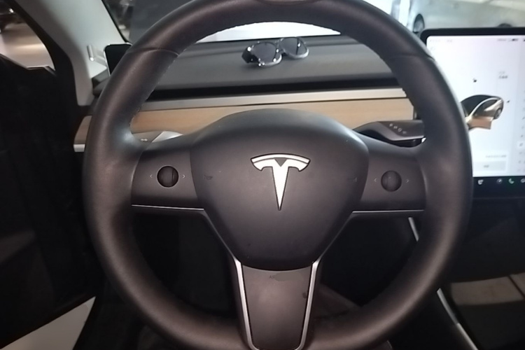 Tesla Model 3 2020 car image #11