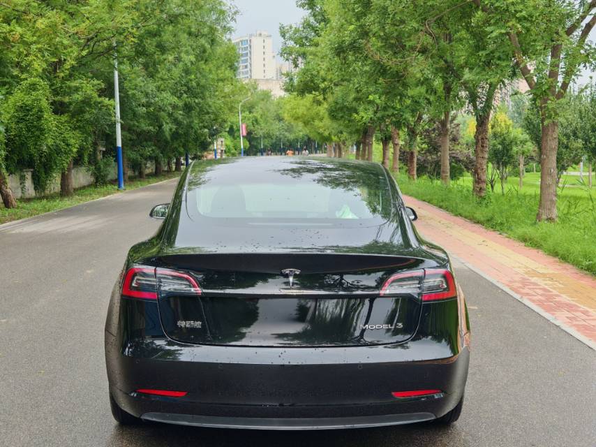 Tesla Model 3 2020 car image #5
