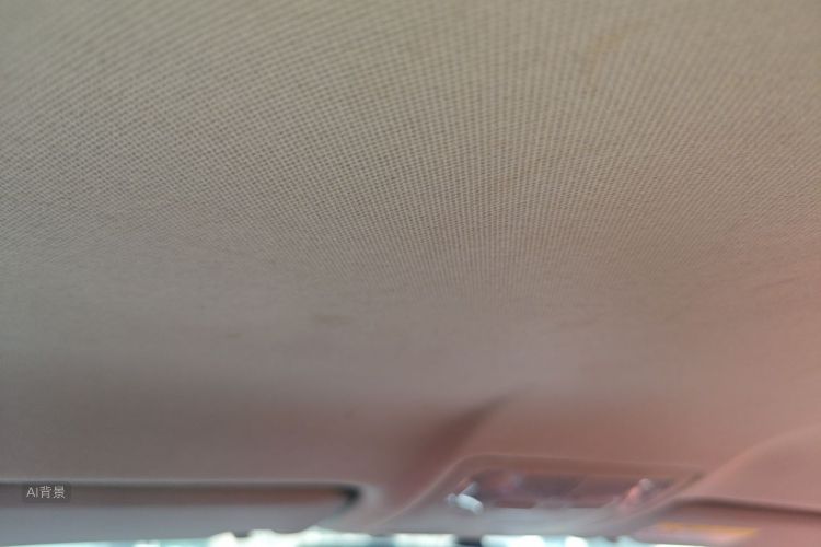 Toyota Corolla 2019 car image #20