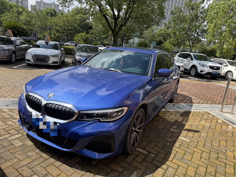 BMW 3 Series 2021 car image #8