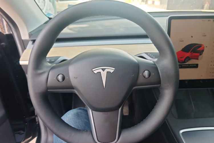 Tesla Model Y 2022 car image #15