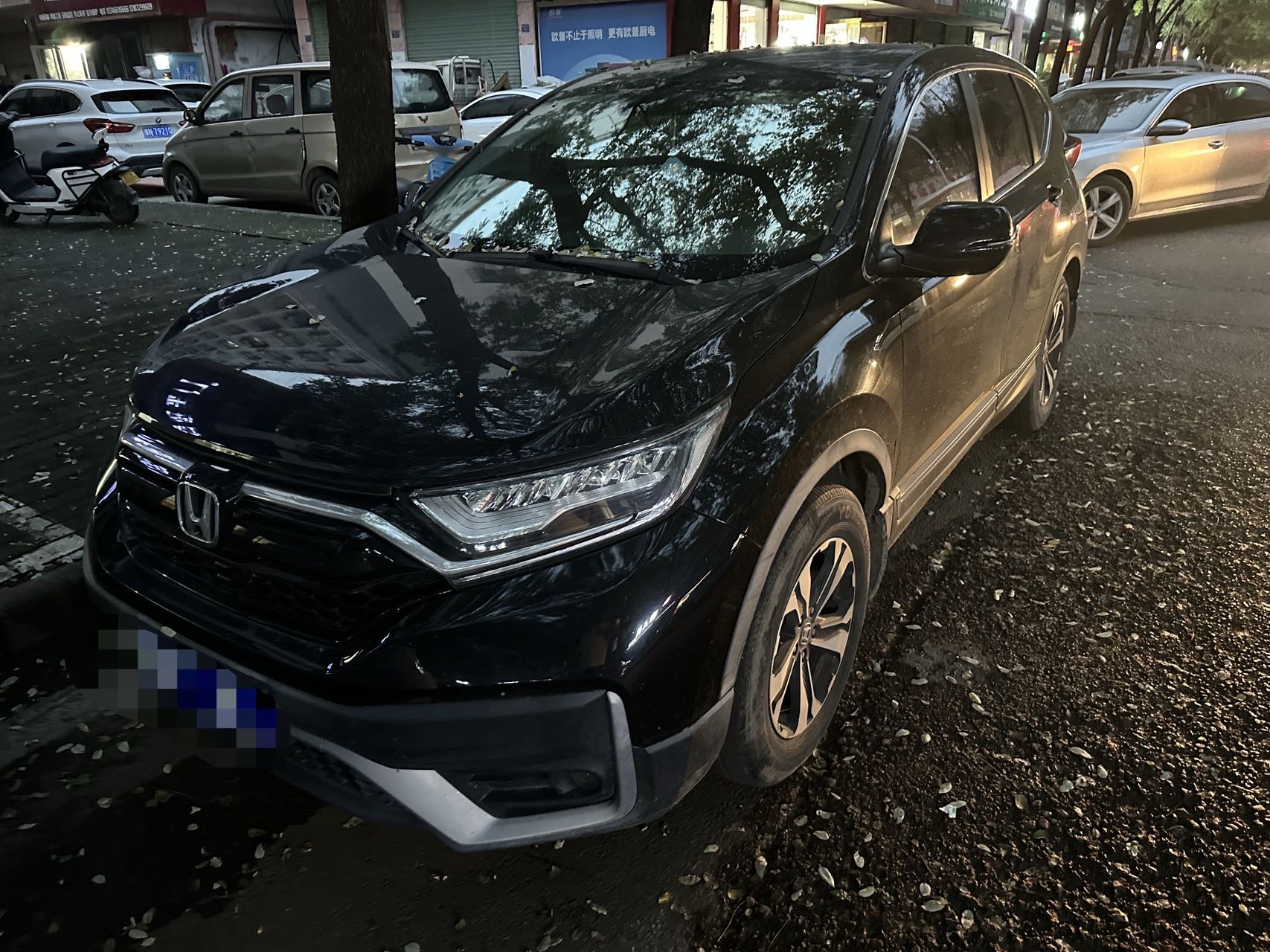 Honda CR-V 2022 car image 