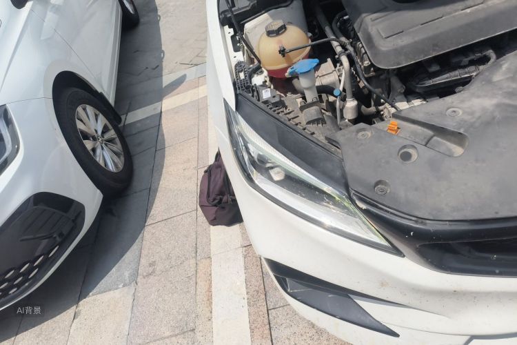 GEELY Binray 2021 image de voiture #8
