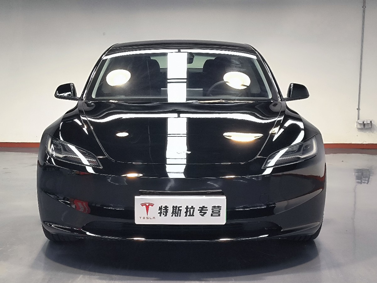 Tesla Model 3 2024 #6 Tesla Model 3 2024 car image #6