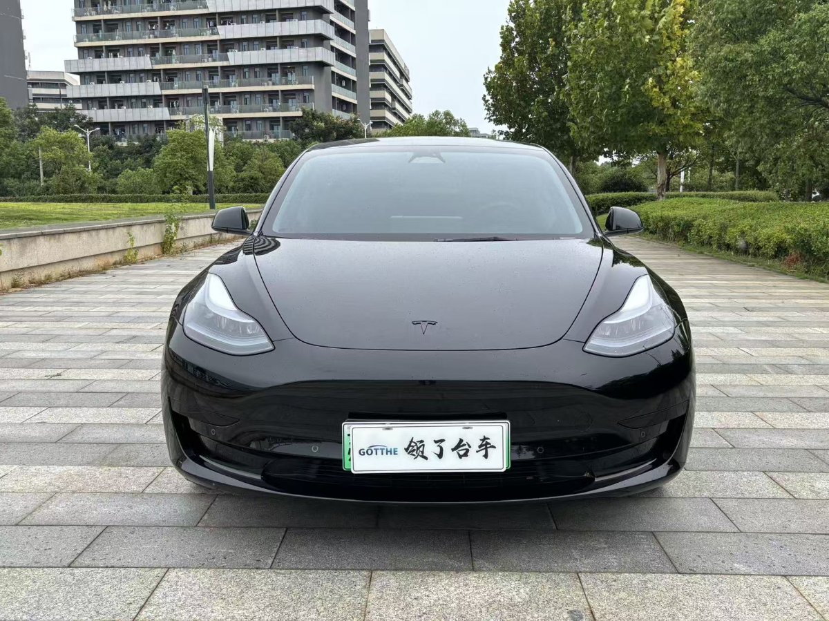 Tesla Model 3 2023 Tesla Model 3 2023 car image