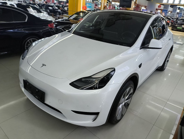 Tesla Model Y 2022 car image 