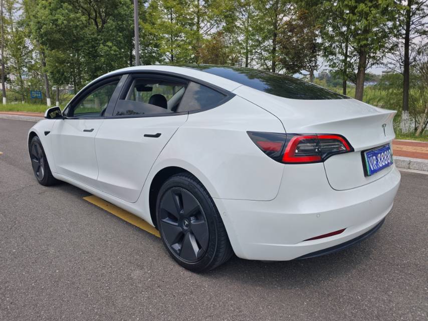 Tesla Model 3 2021 car image #7