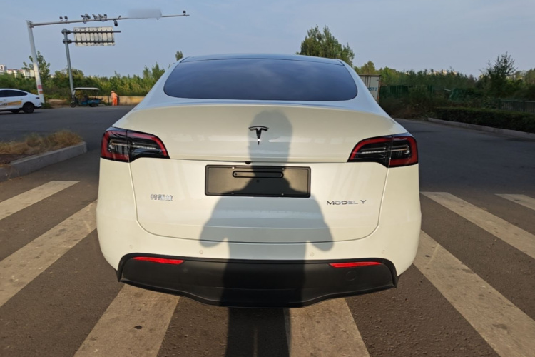 Tesla Model Y 2022 #4 Tesla Model Y 2022 car image #4