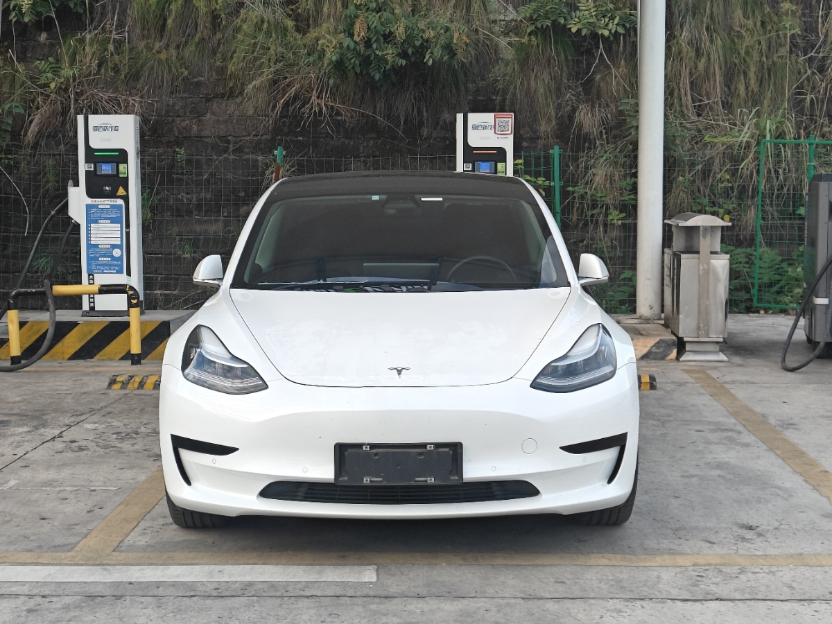 Tesla Model 3 2020 car image #2