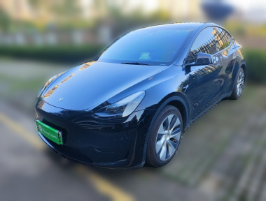 Tesla Model Y 2022 car image 