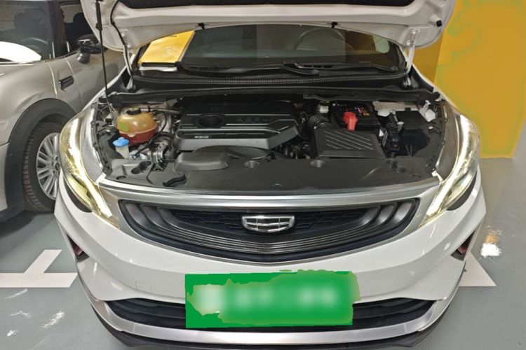 GEELY Emgrand GS 2021 imagem de carro #20