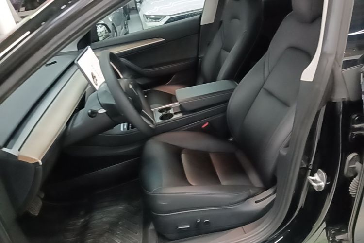Tesla Model 3 2021 car image #15