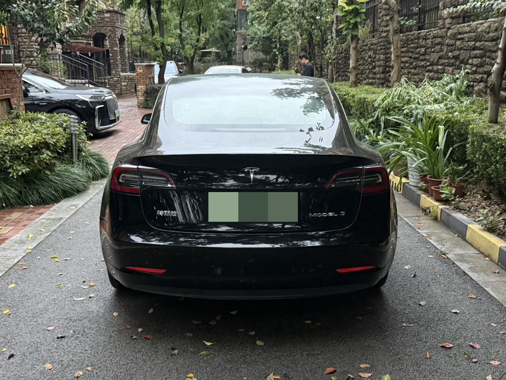 Tesla Model 3 2020 #7 Tesla Model 3 2020 car image #7