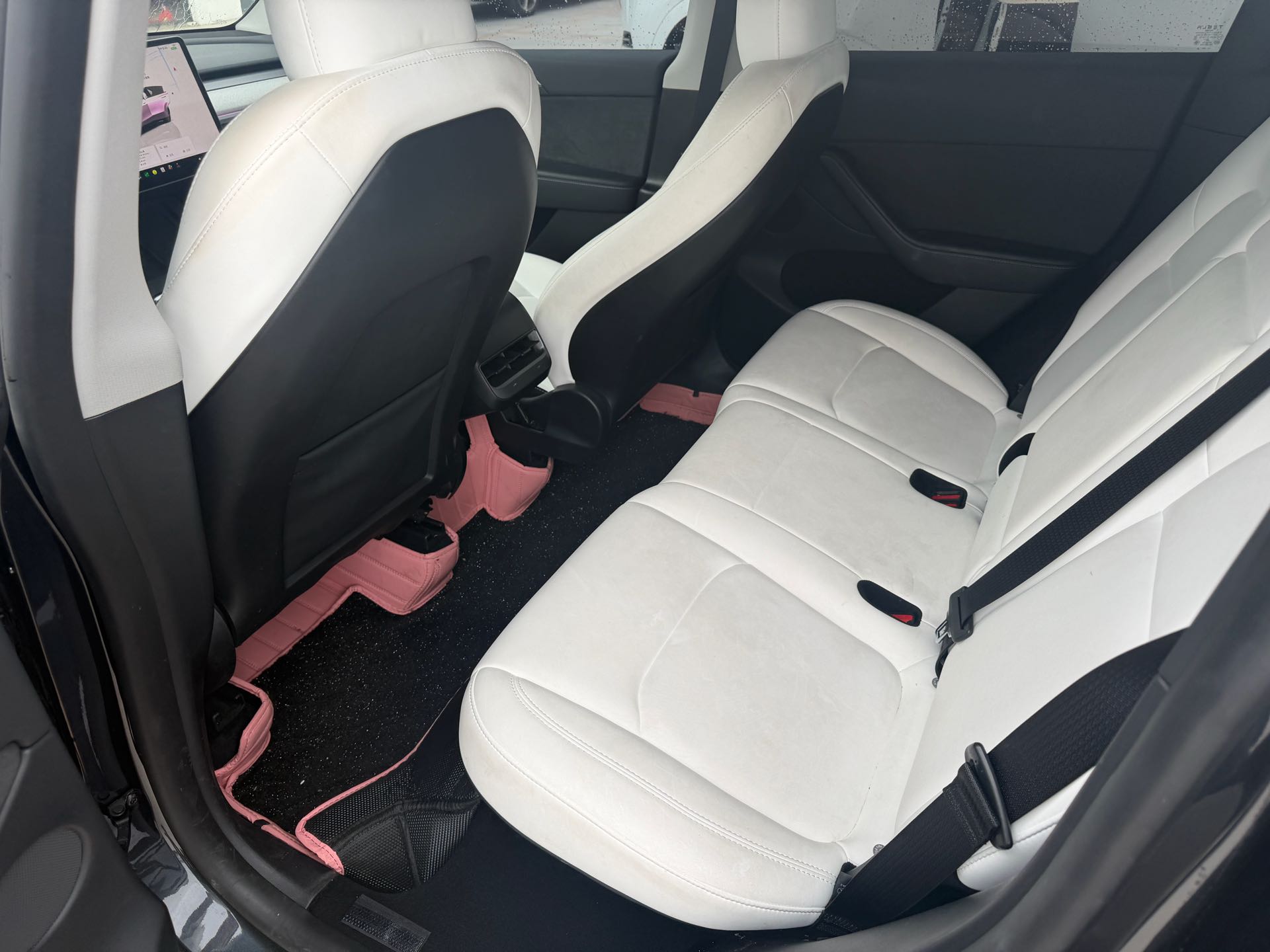 Tesla Model Y 2024 car image #3