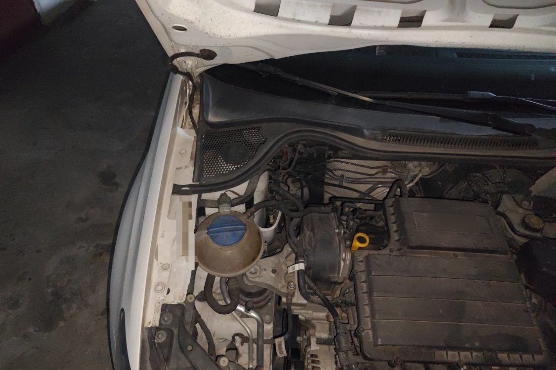 Volkswagen Polo 2019 car image #11