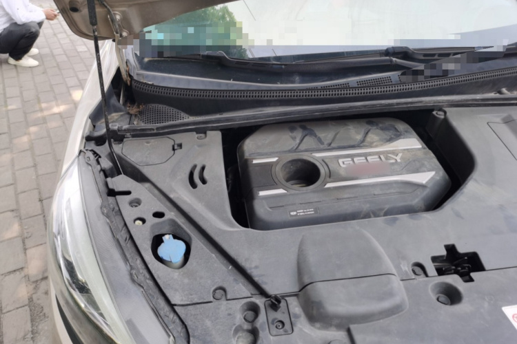 GEELY Emgrand GS 2020 car image #28