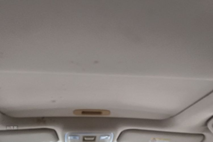 GEELY Vision X6 2018 immagine di auto #20