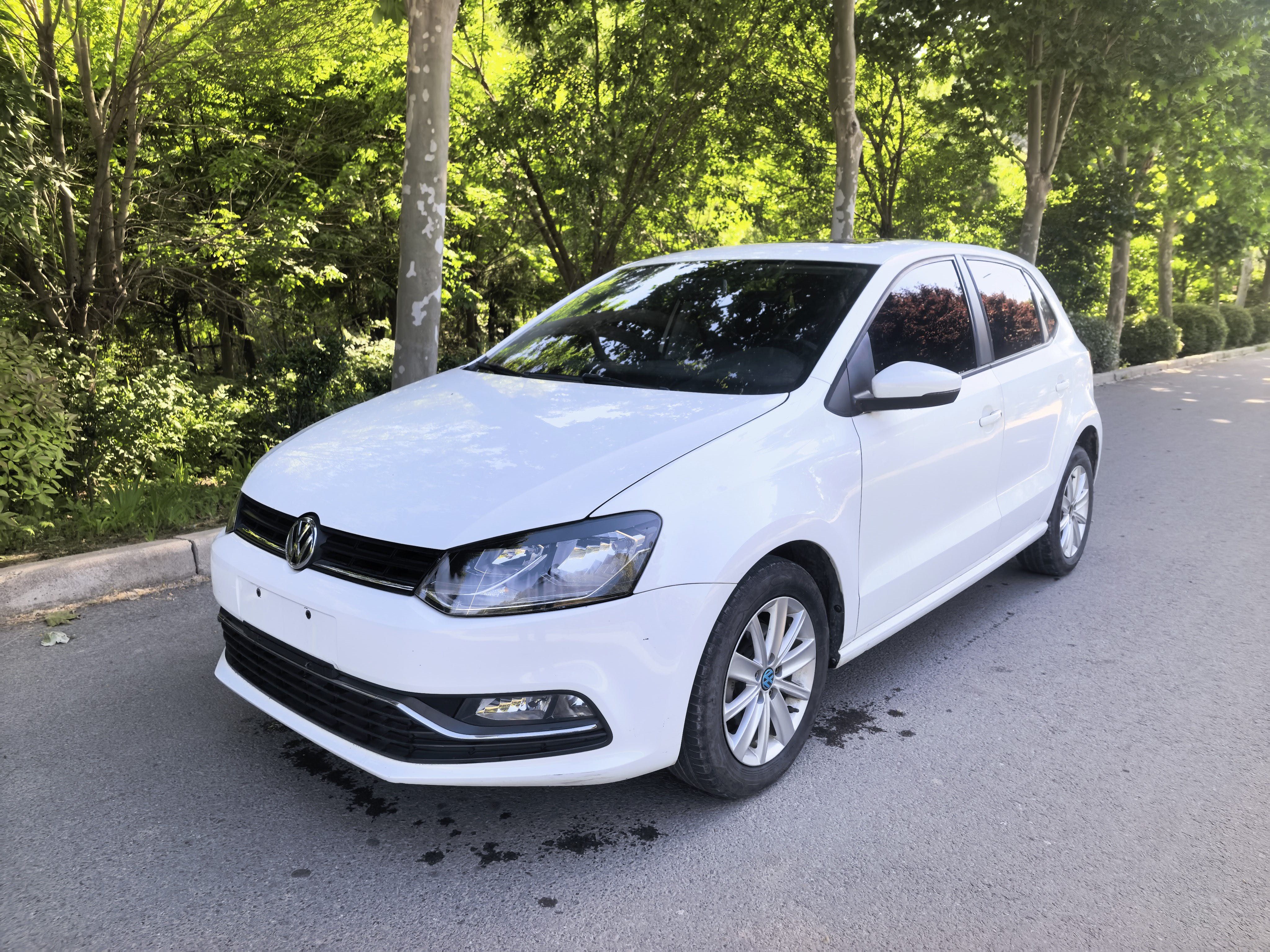 Volkswagen Polo 2019 car image 