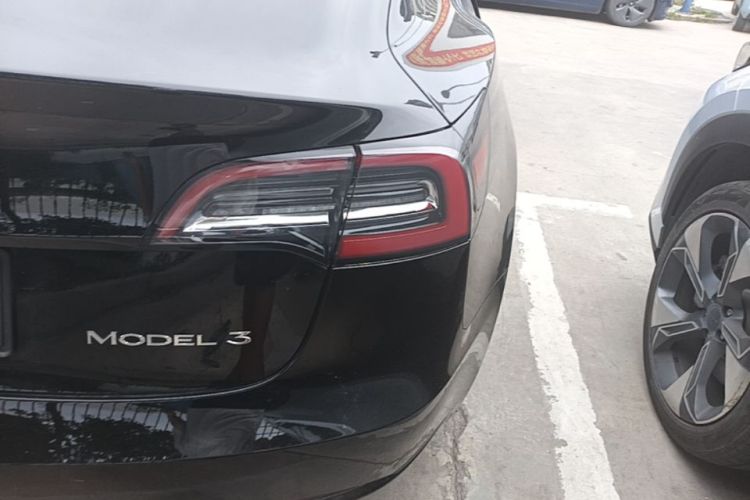 Tesla Model 3 2020 #8 Tesla Model 3 2020 car image #8