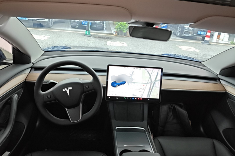 Tesla Model 3 2021 car image #10